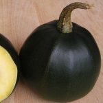 P_GemSquash150x150