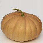 P_LongIslandCheese01