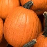 P_SmallSugarPumpkin