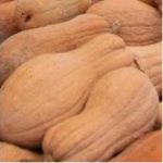 P_WrinkledButternut